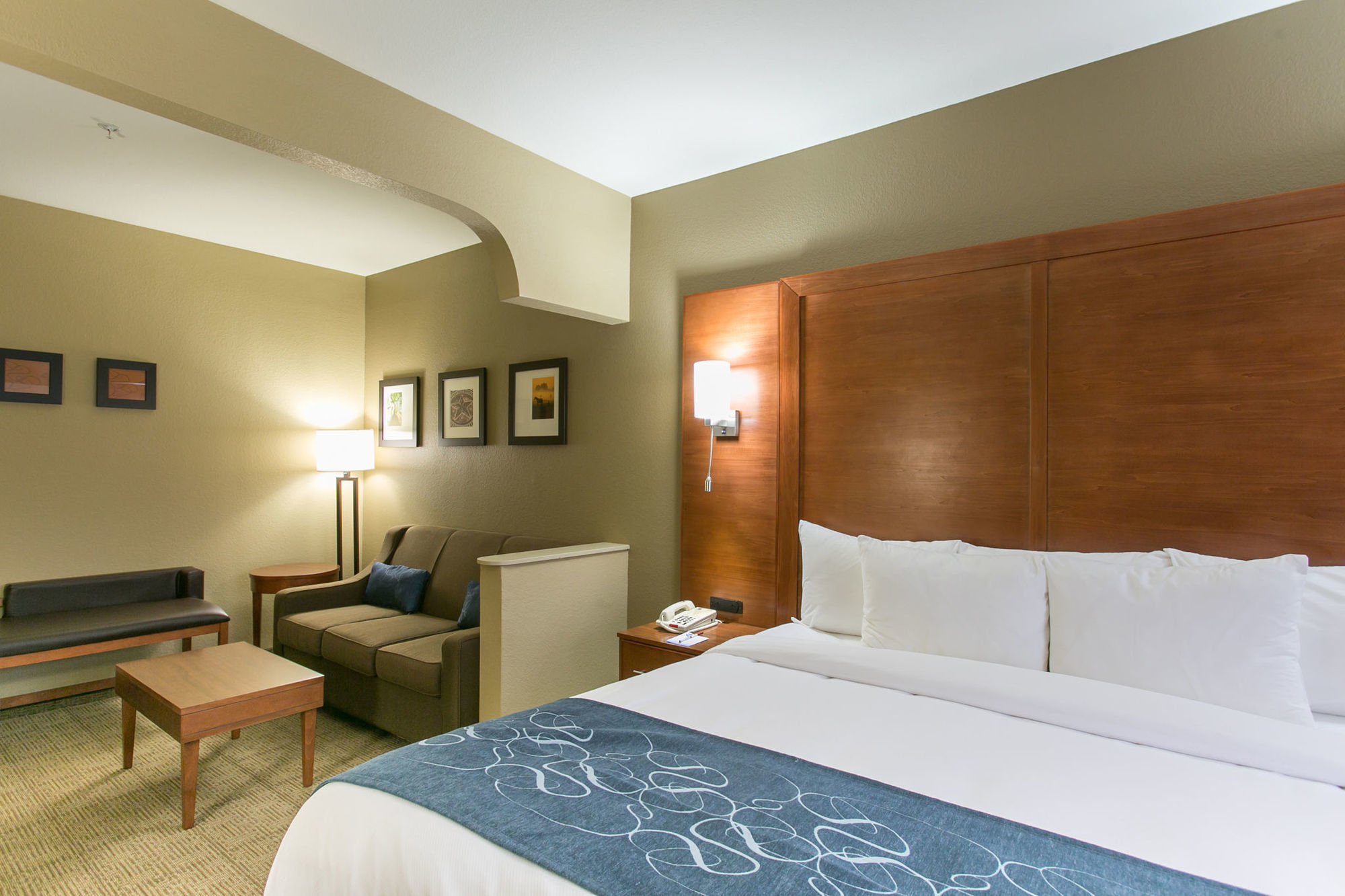 Comfort Suites Austin NW Lakeline Rom bilde